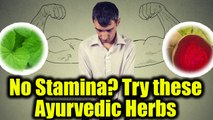 Ayurvedic herbs to increase Stamina | Ayurvedic Tips & Remedies | Boldsky