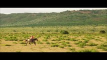 Horses for Kids - Drone Horses Video - Farm Animal