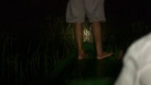 Hunting White Caiman Alligators At Night - RA