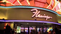 Las Vegas Nightlife - Travel Tips B