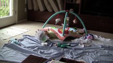 object permanence (peek
