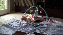 object permanence (pee