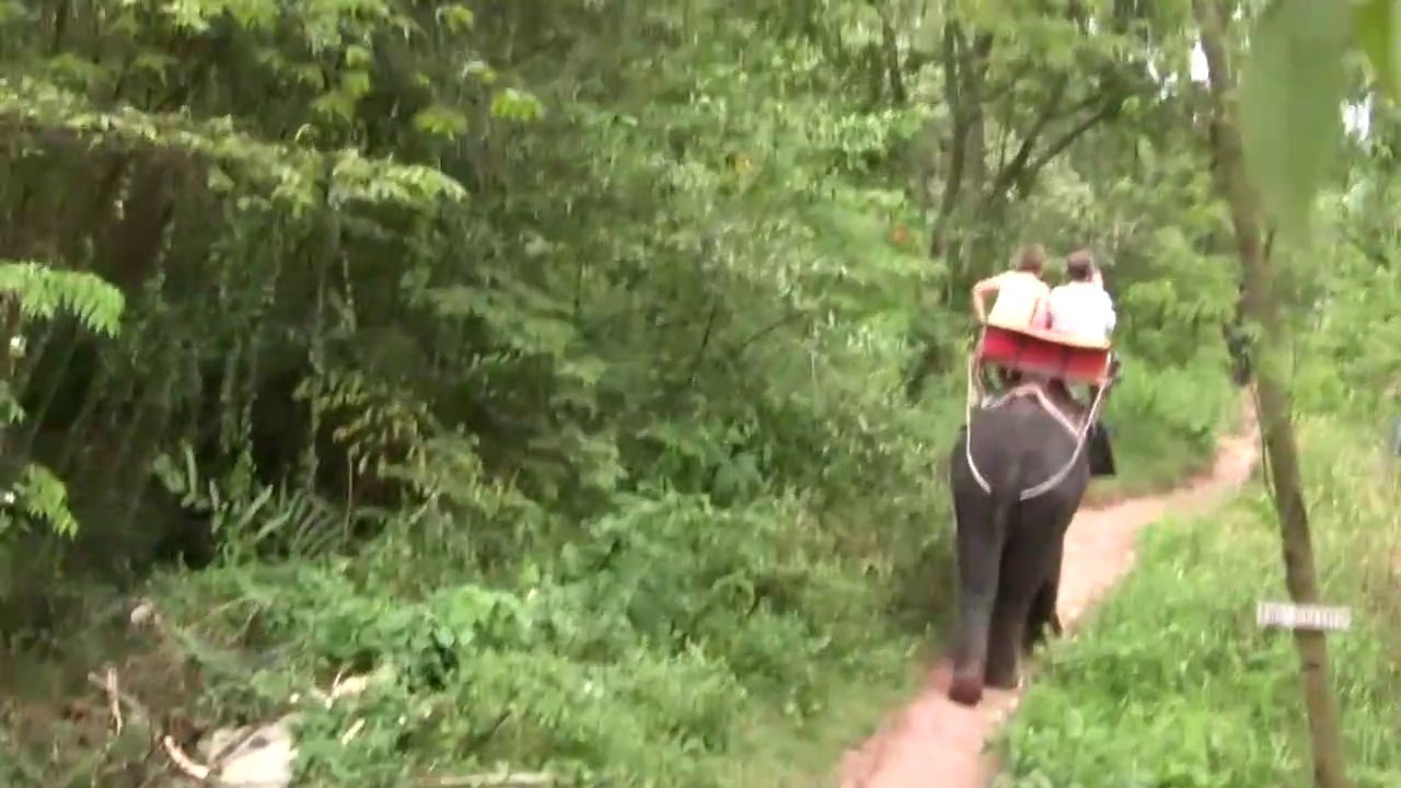 Riding Elephants in