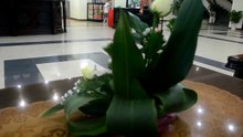 Vietnam Tourism   The nightlife in