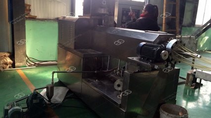 Maccaroni, Pasta Production Line