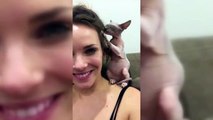 Sphinx Cats  Funny Hairless Cats Playing [Epic Lau