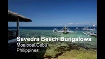 Savedra Beach Bungalows   Best Budget Resorts in Moalb