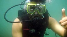 Scuba Diving in MALVAN TARKARLI - Sindhudurg Fort, Ma
