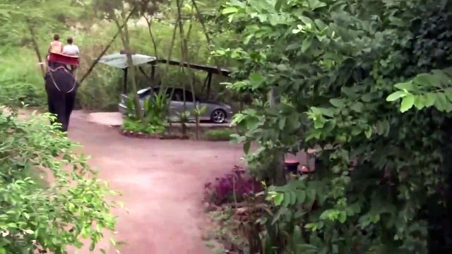 Riding Elephants in Thai