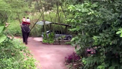 Riding Elephants in Thai