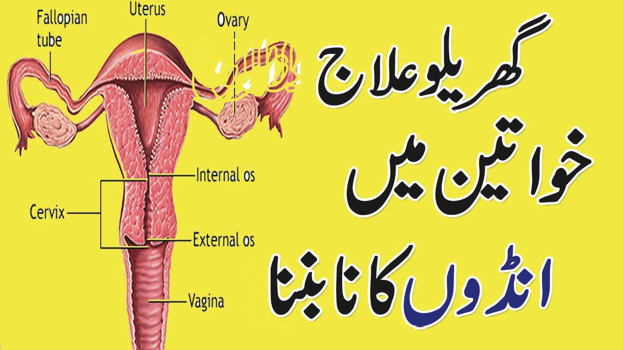 No Egg Production In Female Fertility || Health Tips In Urdu