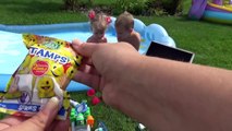 Patrulla pata juguetes en Mega piscina con tobogán juguete del perrito cachorro patrulla patrulla