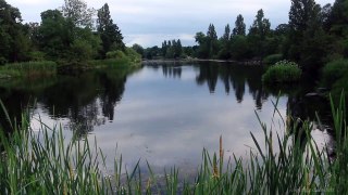 Kensington Gardens Hyde Park London in