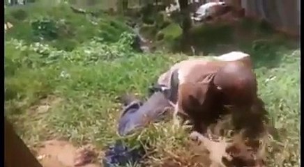 A man in a state of dementia surprised grazing grass during the day