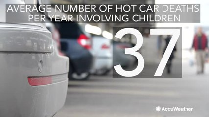 How to prevent hot car deaths this summer