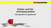 Conveying system for bins and carton
