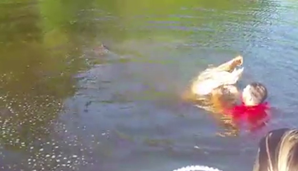 Il joue avec un alligator