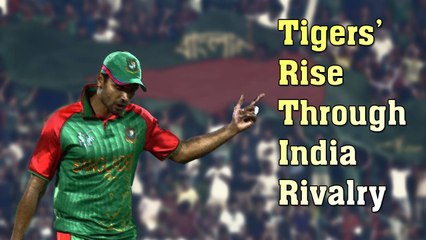 Tigers' Rise Through India Rivalry