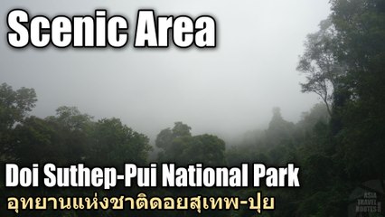 Scenic Area Doi Suthep Pui National Park อุทยานแห่งชาติดอยสุเทพ-ปุย