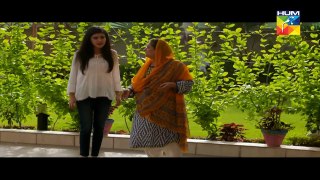 Sangsar Episode 54 HUM TV Drama 15 June 2017