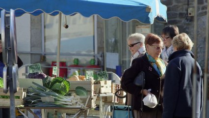 EXTRAIT DOC le maire, le druide et le toubib (3)