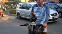 Coq qui fait du vélo - Funny Rooster on Bike