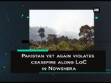 Pakistan yet again violates ceasefire along LoC in Nowshera