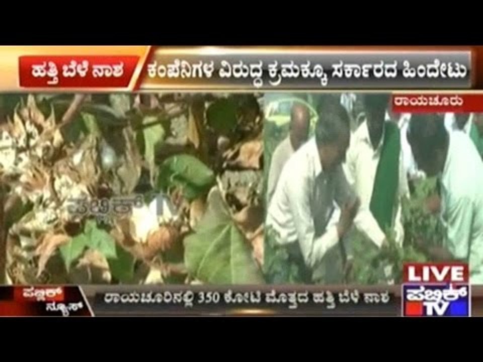 Raichur: Poor Quality Cotton Seeds Create Losses Worth Rs. 350 Crores