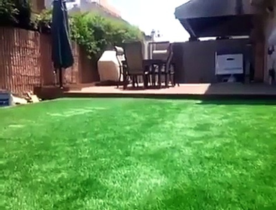 so amazing clip 20167(amazon songs & clips)