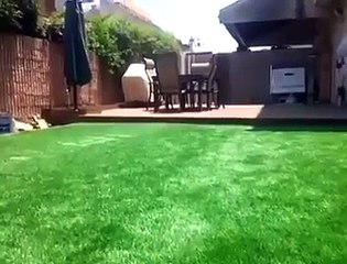 so amazing clip 20167(amazon songs & clips)