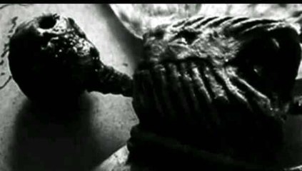 Crees en Hadas? Asiste al video y creerás