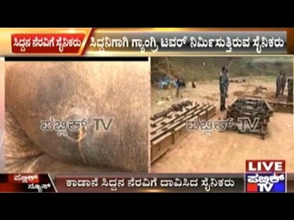Ramanagar: Army Men Join In & Create Tower To Lift Wild Elephant Siddha