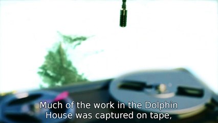 The Girl Who Talked to Dolphins