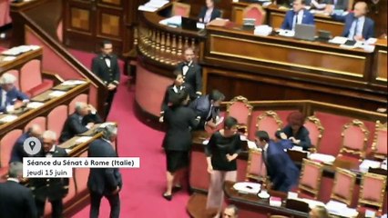 Italie : la ministre de l'Education envoyée à l'infirmerie par des sénateurs de la Ligue du Nord