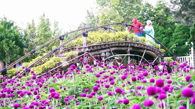 Spiderman and Elsa AMAZING COCA COLA - Movie Kids #26 - Superhero in real life