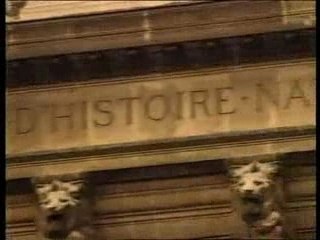 Paris Métis - Extrait Episode n°2