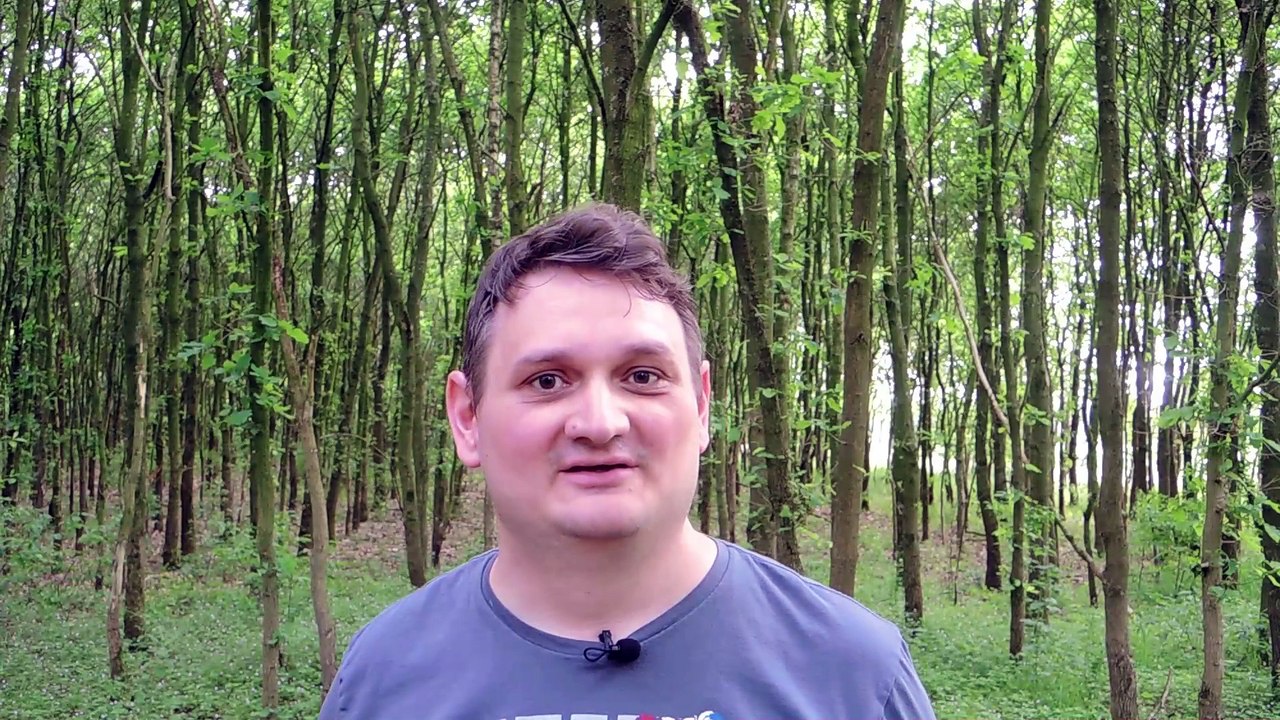 Die Heilfplanze Stinkender Storchenschnabel