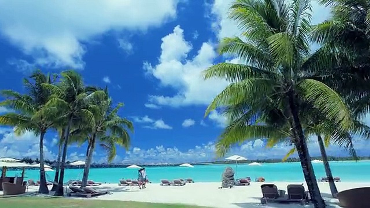 Web design company http://credofy.com/