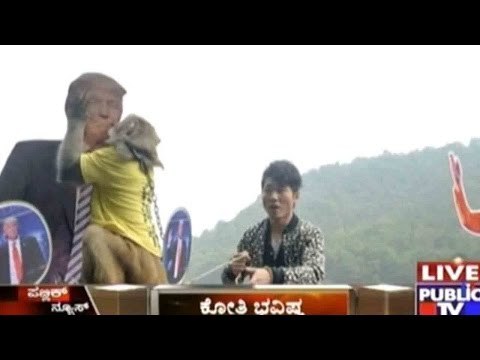 US Election Voting Predictions: Monkey Choose Trump Over Clinton