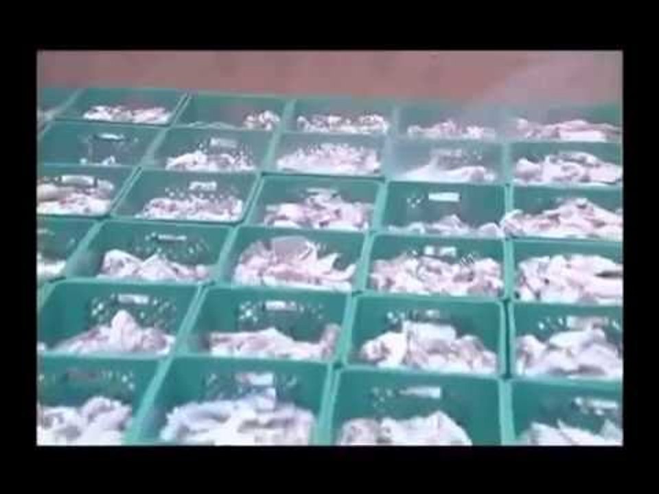 اطعم اكثر من مليونين حاج في بيت الله