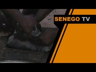 Senego TV: 182 kg de drogue saisies à Mbacké