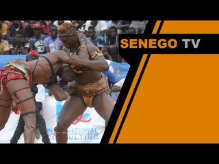 Senego TV Combat Pape Boy Djine vs Cle Mansour