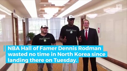 Rodman gives Trump's 'Art of the Deal' to North Korean minister