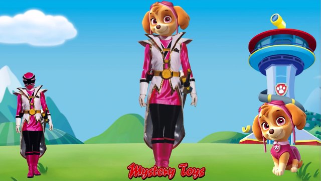 Paw Patrol Transforms Into Power Rangers Superheroes - Finger Family Nursery Rhymes Songs