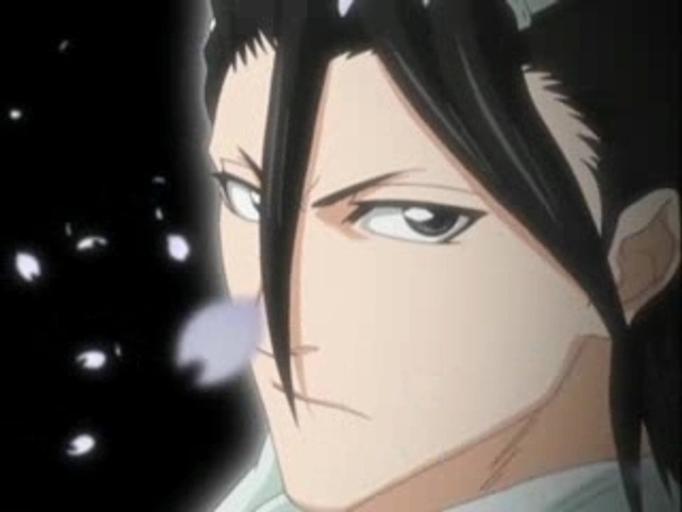 bleach ed3 6th division