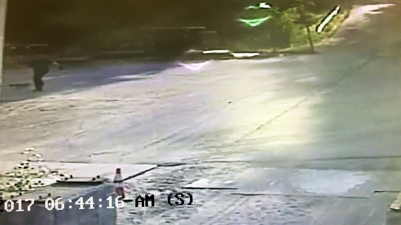 Rabid Fox Attacks Man in Maine