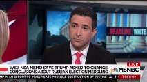 'This Is the First Day of the Rest of Your Life': MSNBC Host Warns Trump on Obstruction Investigation