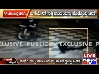 Mandya: Leopard Enters Farm House & Catches Dog