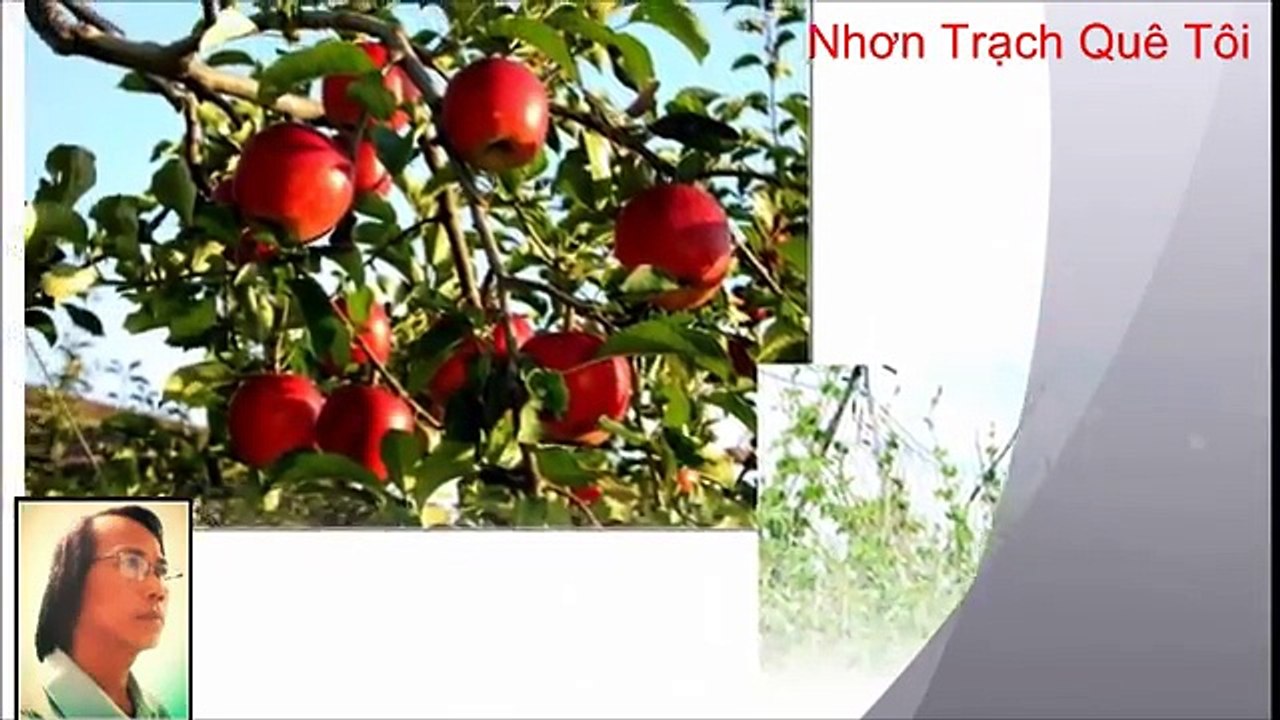NHƠN TRẠCH QUÊ TÔI by Trầm Thiên Thu