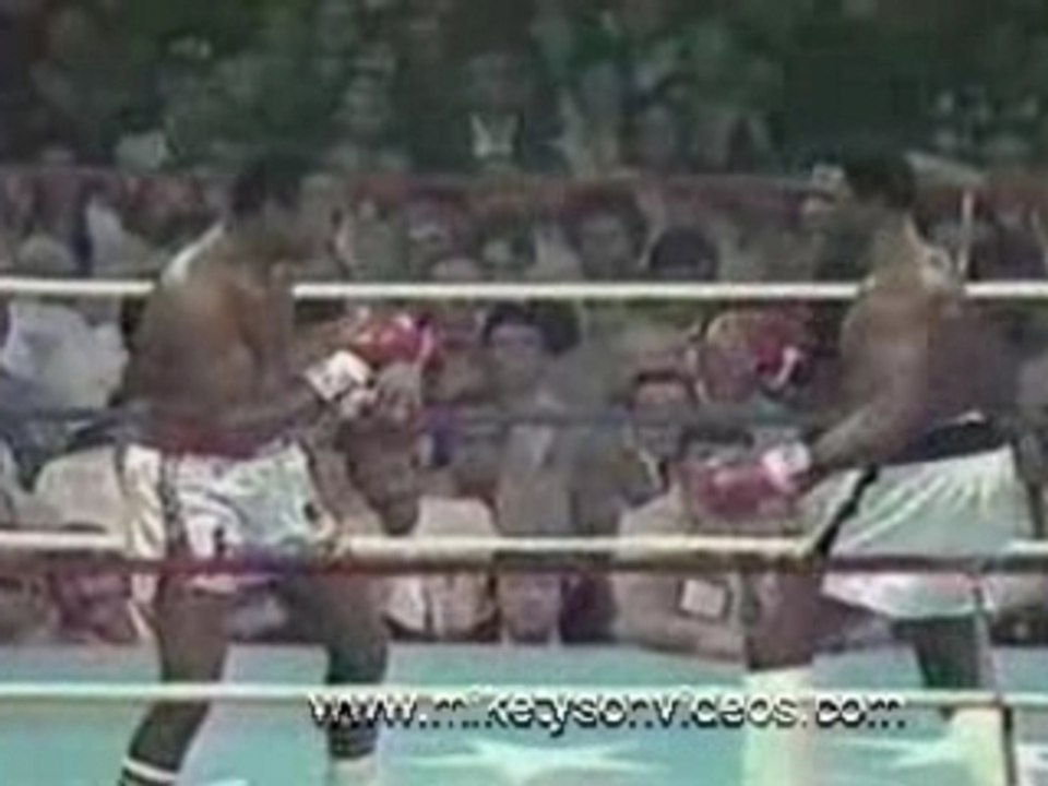 Mike Tyson et ces K.O